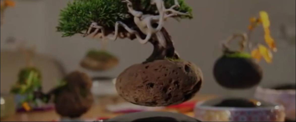 Cây[-]Bonsai[-]bay[-]“độc,[-]dị”[-]của[-]người[-]Nhật
